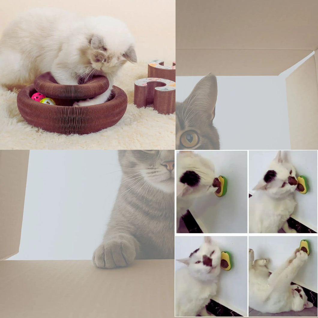 CAT BOX GATO ZEN- Rascador Acordeón + 2 Hierbas Gateras